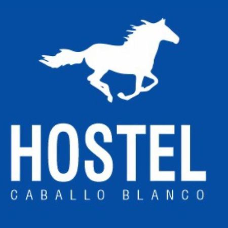 Hostel Caballo Blanco Cartagena Exteriér fotografie