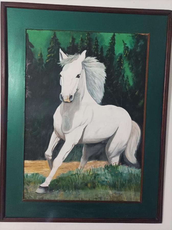 Hostel Caballo Blanco Cartagena Exteriér fotografie